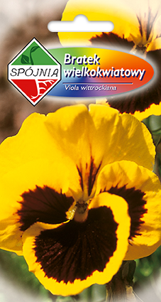 PLANTICO nasiona roślin warzyw kwiatów