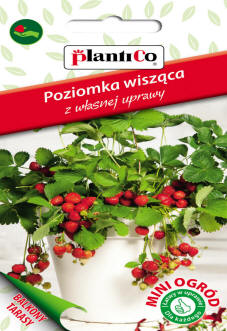 PLANTICO nasiona roślin warzyw kwiatów
